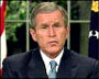 bush
