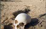 Muertes en arizona