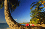 playas honduras