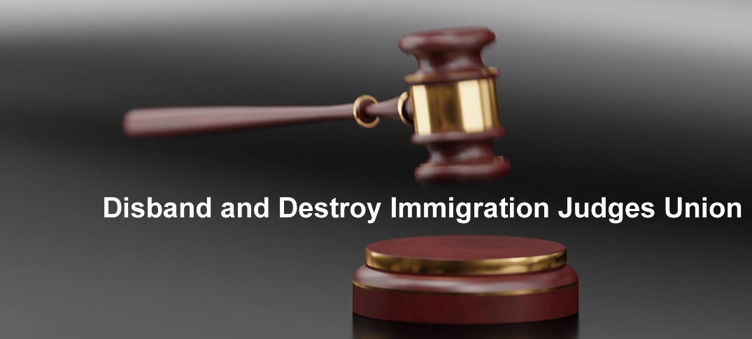 Immigration judges