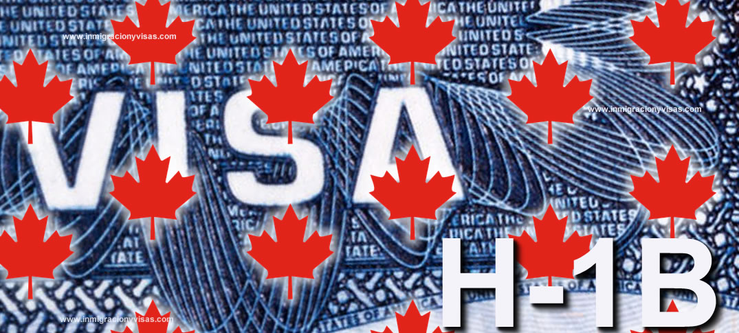 Canada H-1B Applicants 