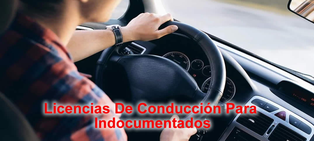 Licencias De Conducción A Indocumentados 