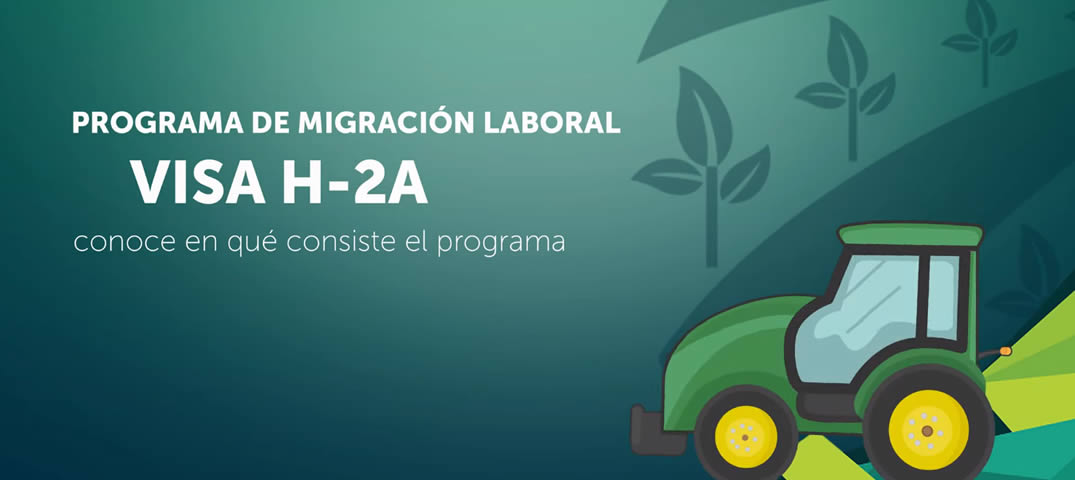 Migración Laboral Visas H-2A